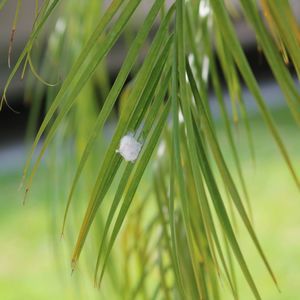 Meet your Posher, Leslie